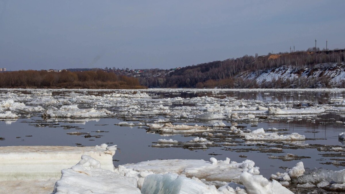    Фото: BEROS/Shutterstock/Fotodom