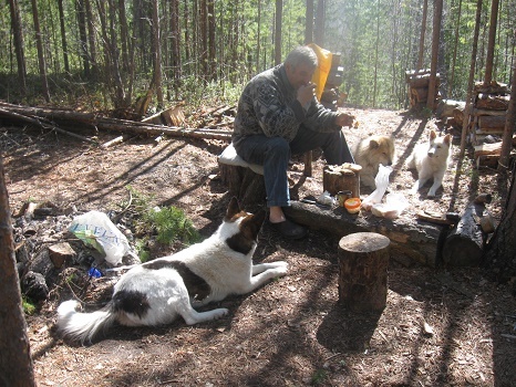 Фотографии Татьяны Немшановой. На весновке в тайге. Обычная лесная жизнь. Таежник и лайки. Бим, Вайта, Дружок.  Завтрак в тайге. Всё делится пополам с хвостатыми напарниками. Все герои фотоснимка сейчас охотятся на небесных просторах.  Дружок единственный, кто умер сам, от лет, дома. И похоронен за оградкой огорода под кустиком.  Бима и Вайту убили по заказу  соседей, сотрудника МЧС села. Причина: не позволяли воровать свет.  Муж погиб в тайге в мае ,2022 года. Причина смерти не установлена.  Такова лесная судьба. 