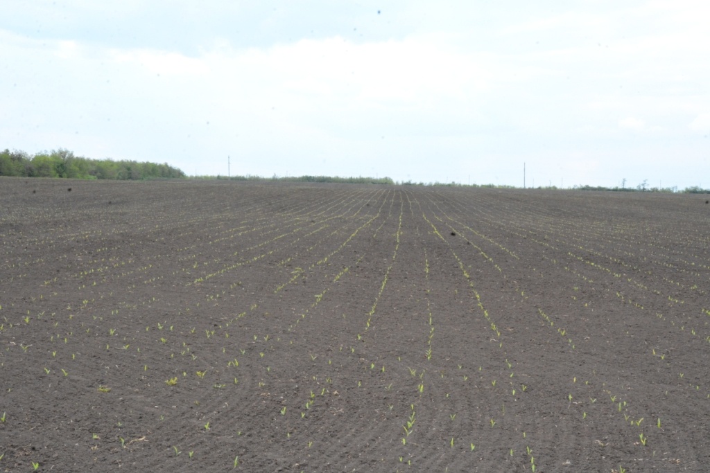   Фото: Е. Антонова. Елена Антонова