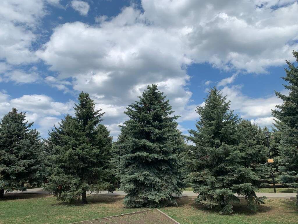   Фото: Е. Донченко. Галина Ященко