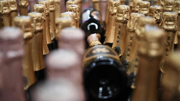    © Sputnik / Константин Михальчевский