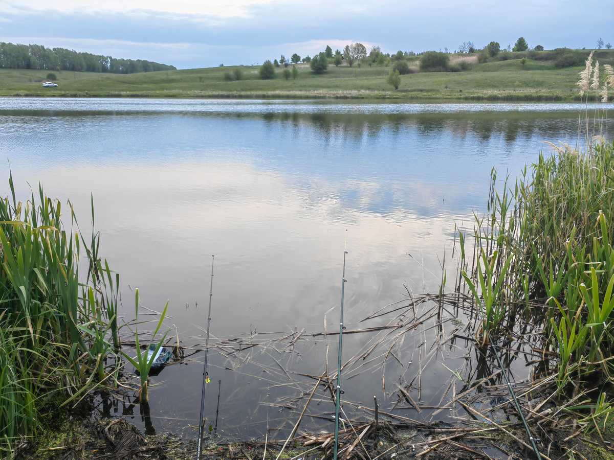 Только закинул 