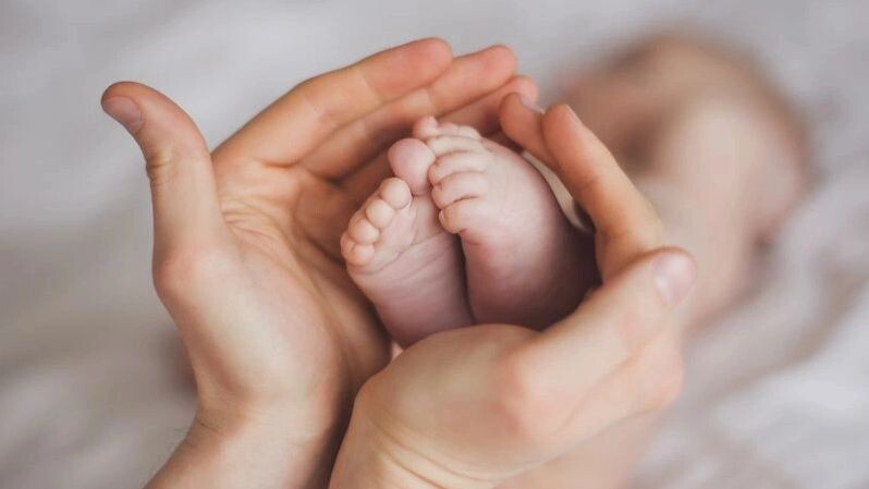    Фото: MakeStory Studio/Shutterstock/Fotodom