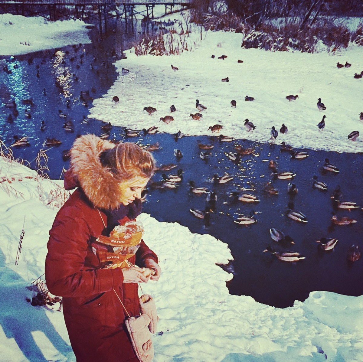 На фото: ведущая прогноза погоды на канале "Звезда" Ольга Паршина 