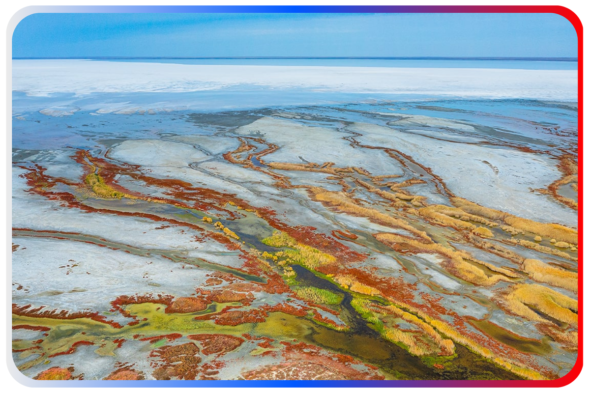 Фото: Сергей Семенов