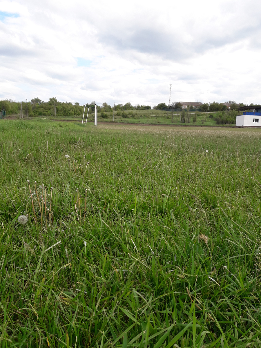 ...на стадионе не проведено ни одного спортивно-массового мероприятия...