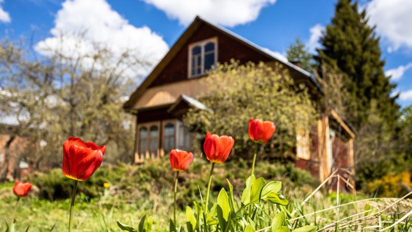   Gettyimages.ru VvoeVale