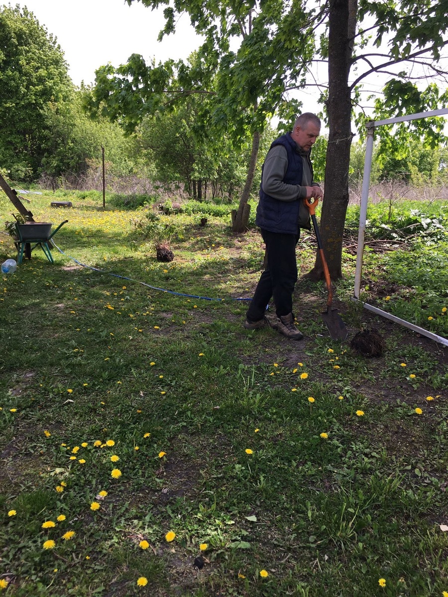 Муж копает, я сажаю и поливаю.