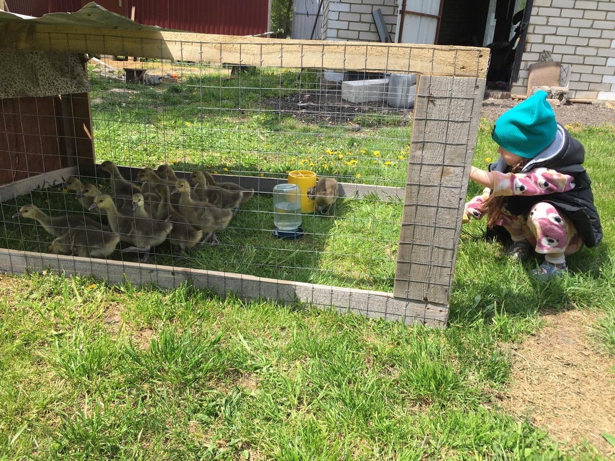 Муж смастерил закуту ))