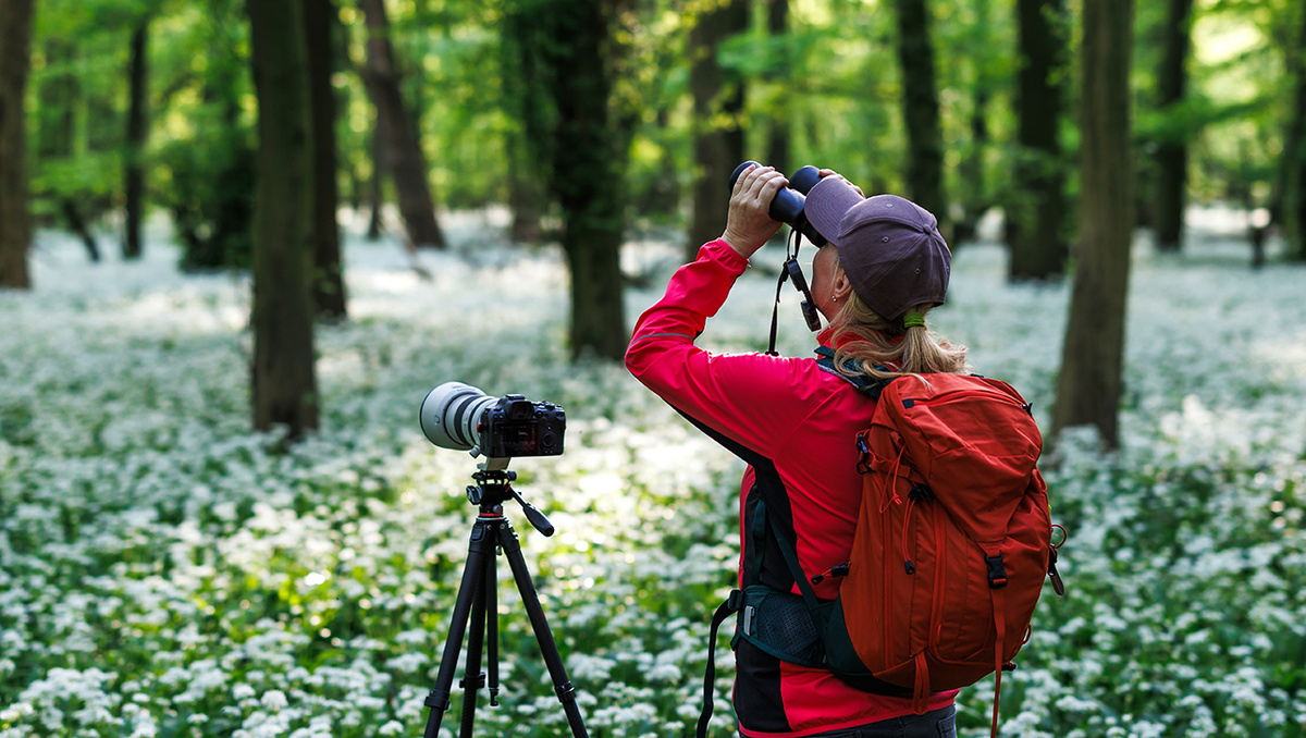     Фото: encierro/Shutterstock/FOTODOM В отличие от профессиональной орнитологии, бердвотчеры не ставят научных экспериментов, а просто наблюдают, фотографируют и записывают встреченные виды