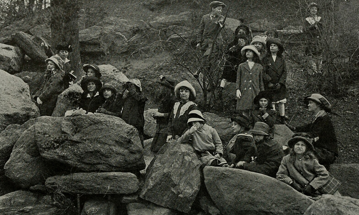     Фото: Wikipedia.org Массово увлекаться наблюдением за птицами начали в Викторианской Англии