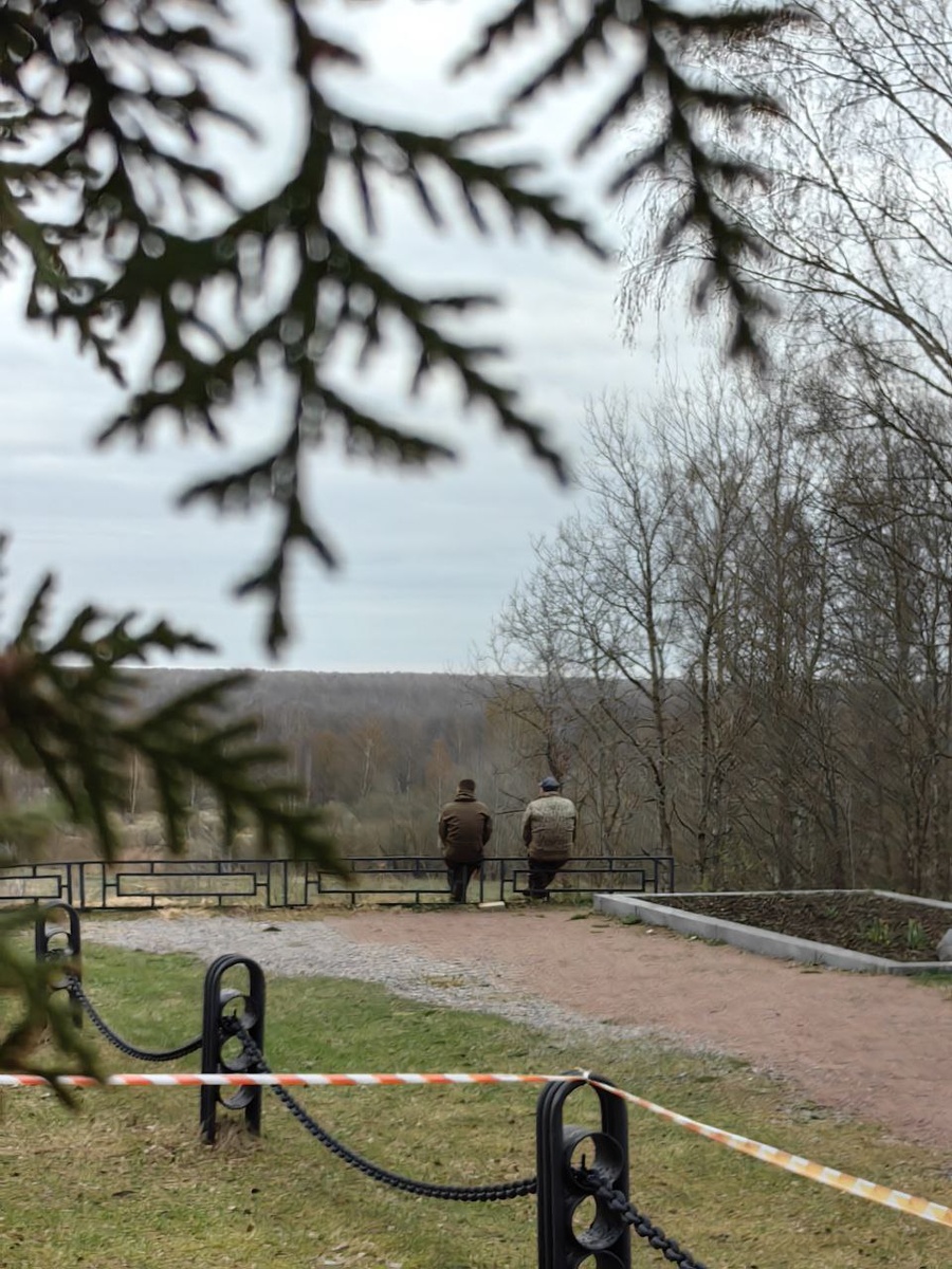 Поисковая вахта, май 2025, Синявинские Высоты