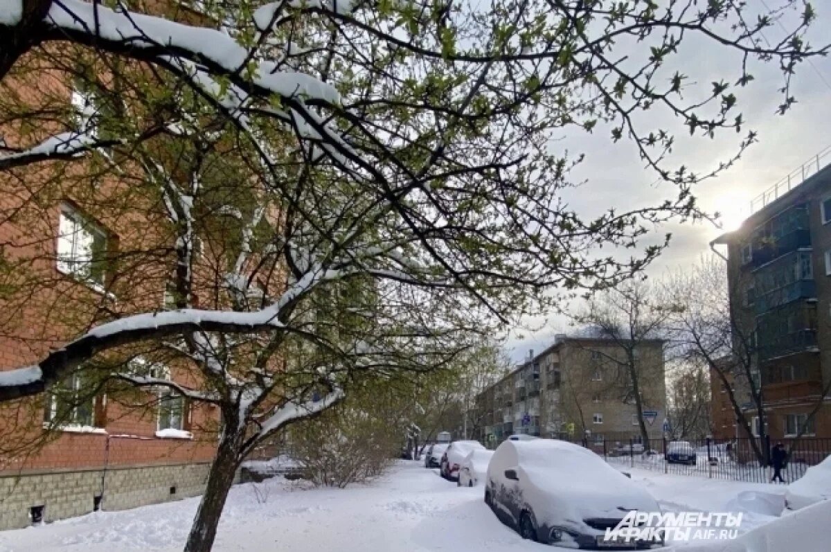    Метеорологи прогнозируют возвращение снега в Пермский край в мае
