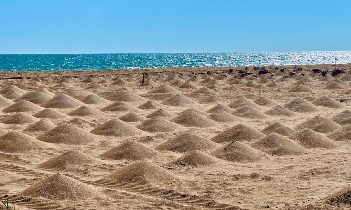    Фото t.me/kastyukevich_live