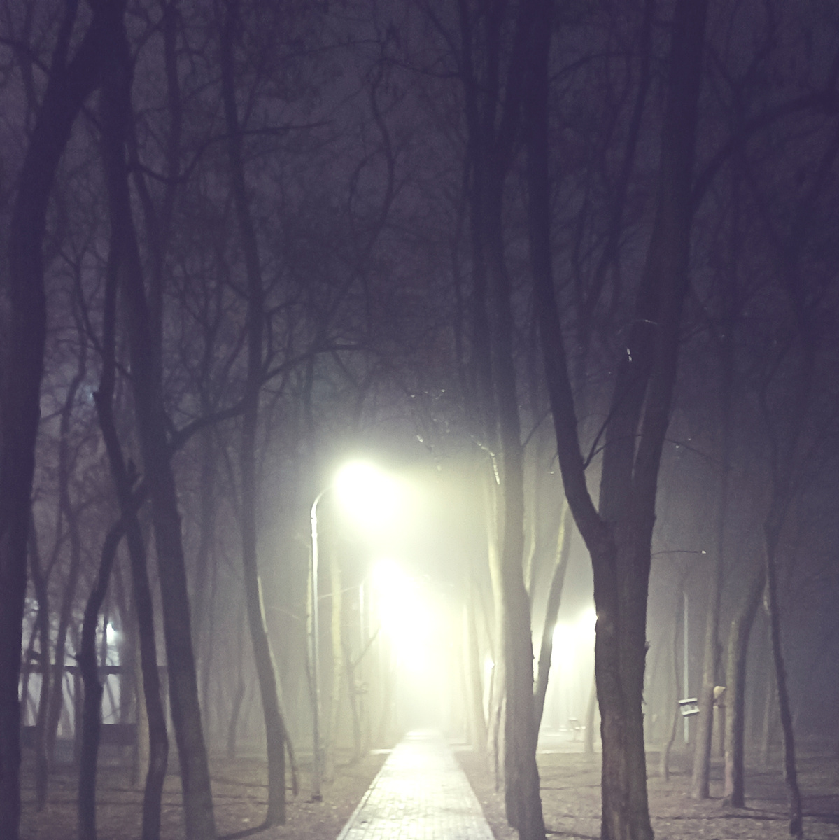 Фото автора. 