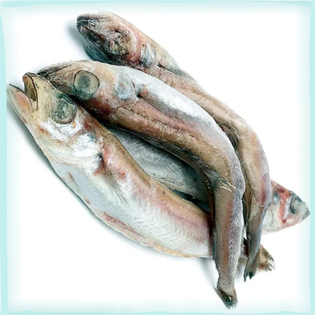 Путассу. Фото из открытого доступа в интернете 