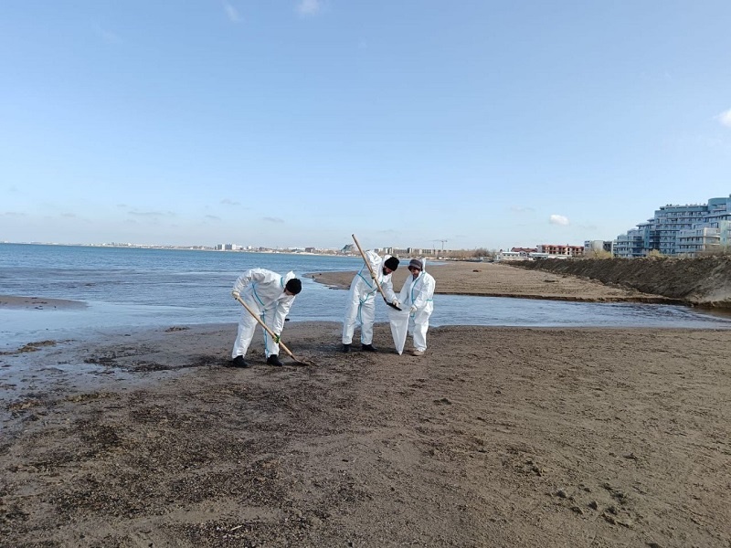    Фото: пресс-служба администрации Краснодарского края