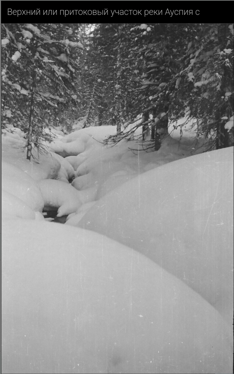 Фото 1 с Дятловпасс