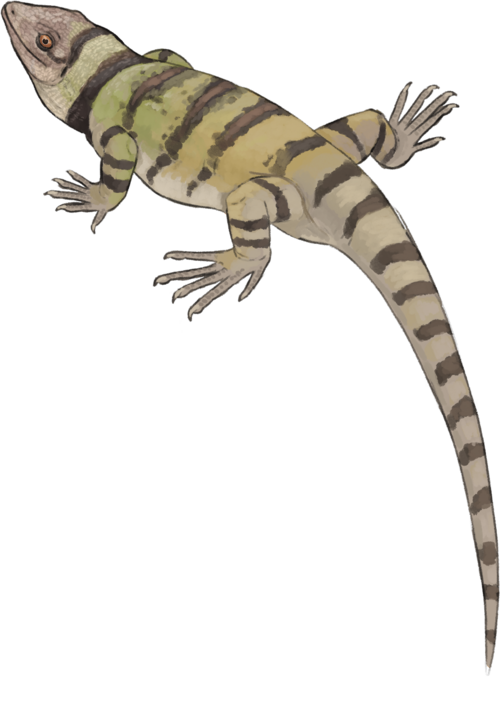 Реставрация внешнего облика.