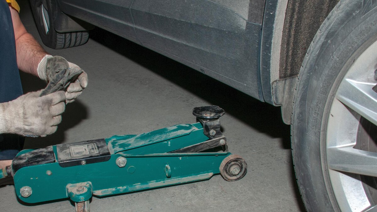    Фото: Svetlana Vozmilova/globallookpress.com