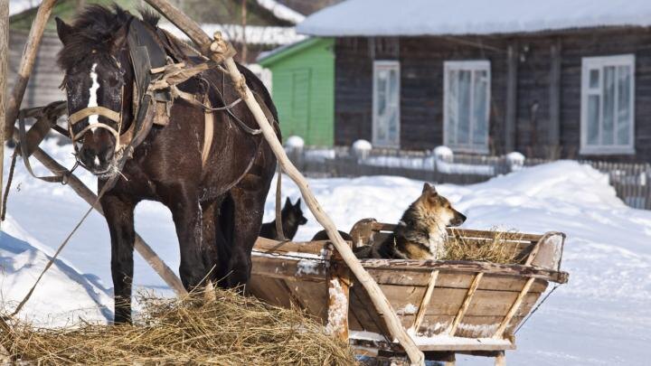 Фото: Konstantin Kokoshkin//Russian Look/Global Look Press