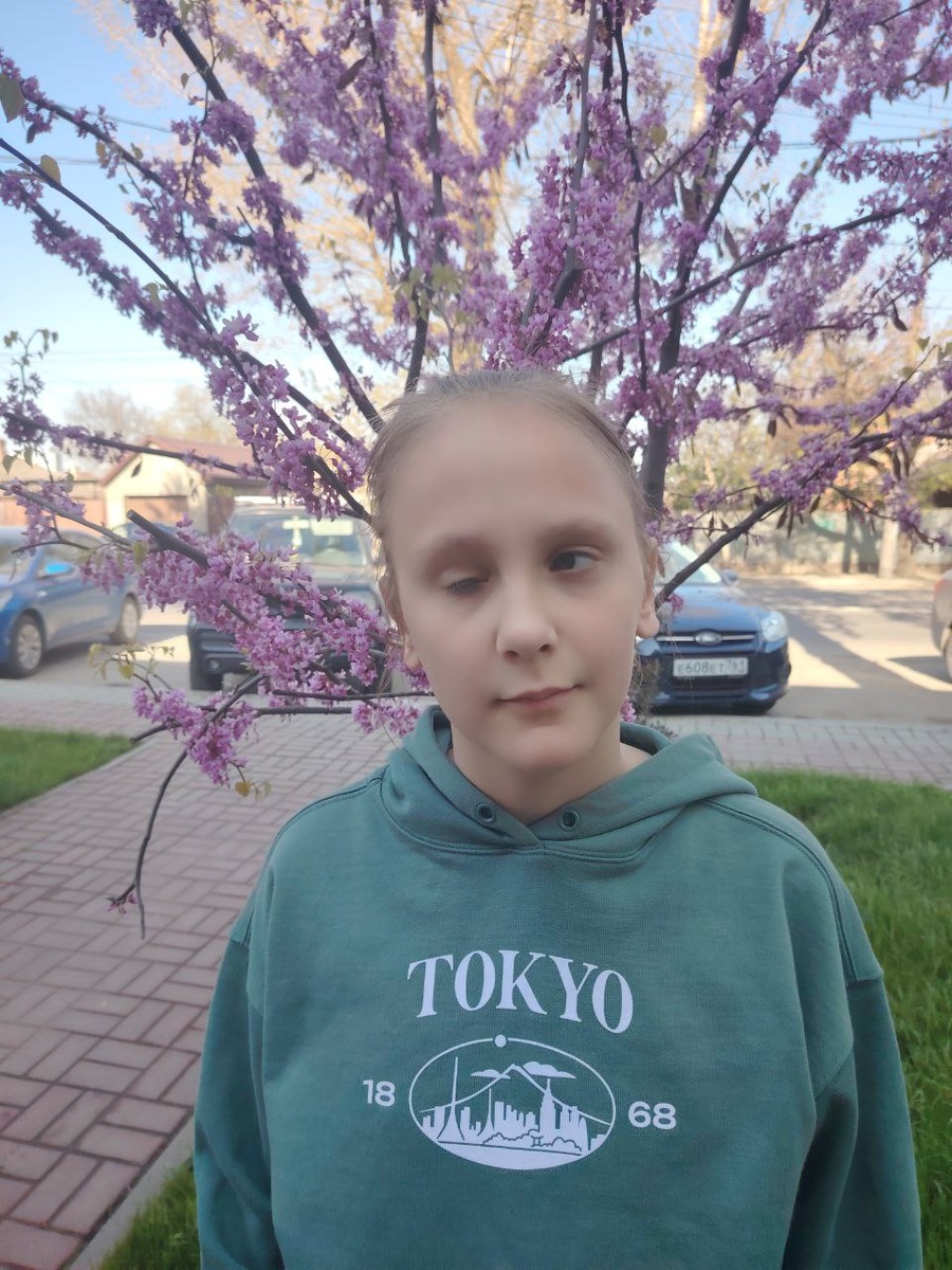 Примерно так я себя чувствую к концу учебного года