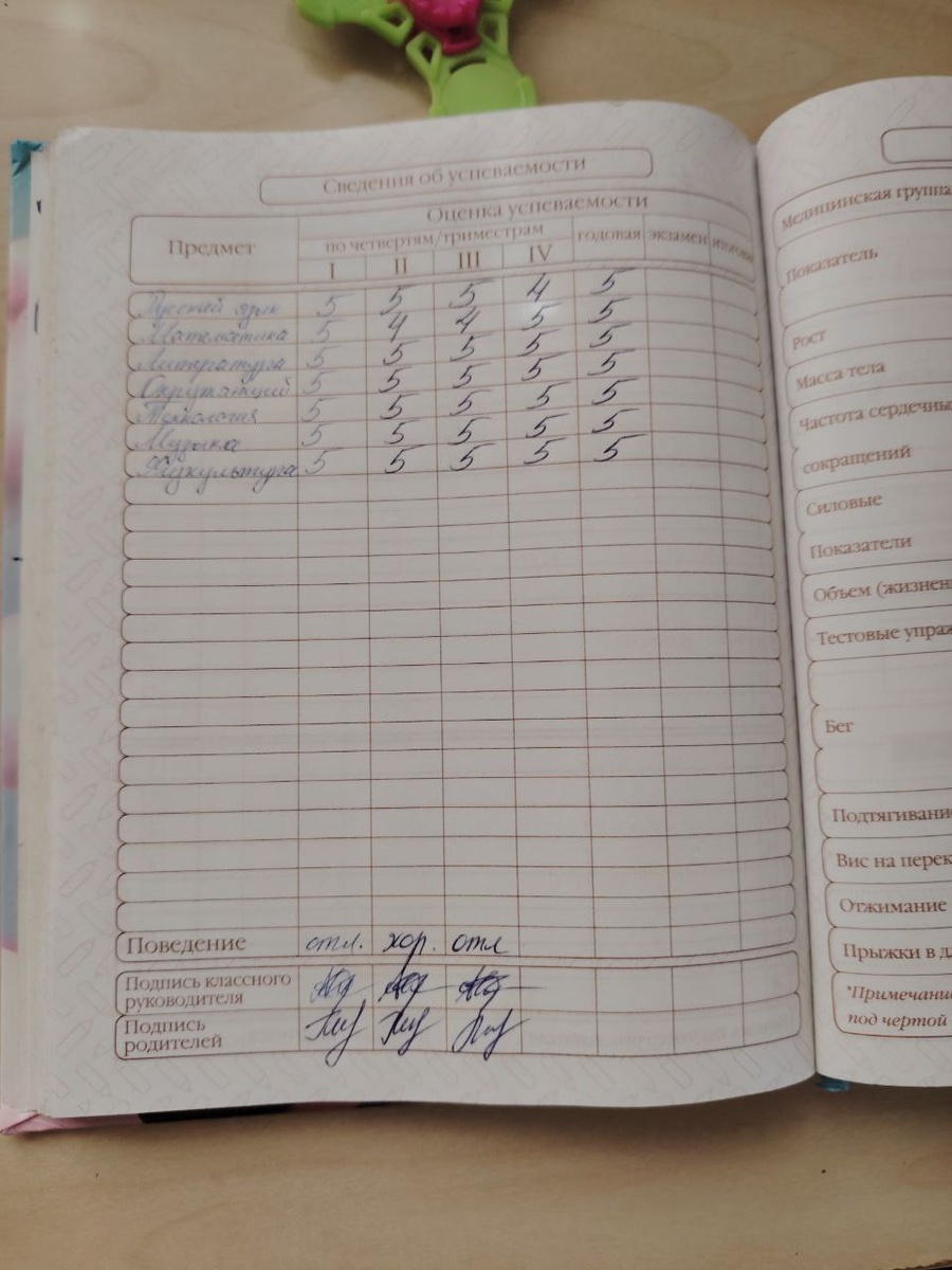 Дневник отличницы