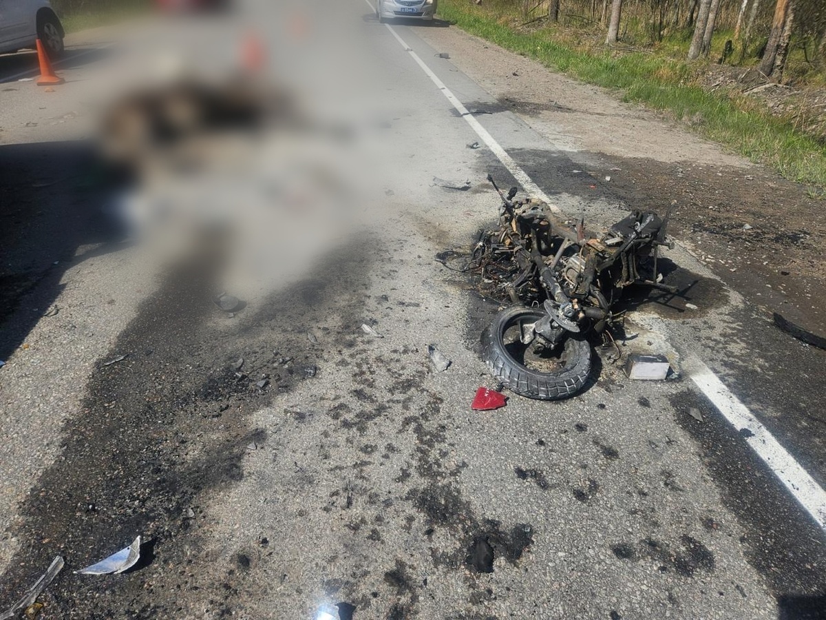 © ГУ МВД по Петербургу и Ленобласти