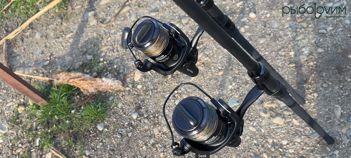 Фото автора. При использовании ссылка обязательна.