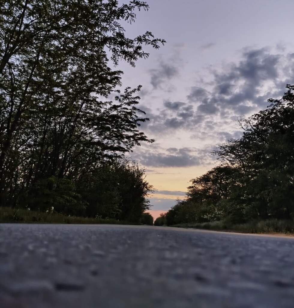    Фото: "Веселовские вести" Веселовские вести