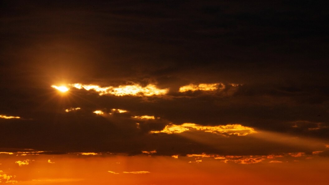    Светлана Возмилова/Global Look Press