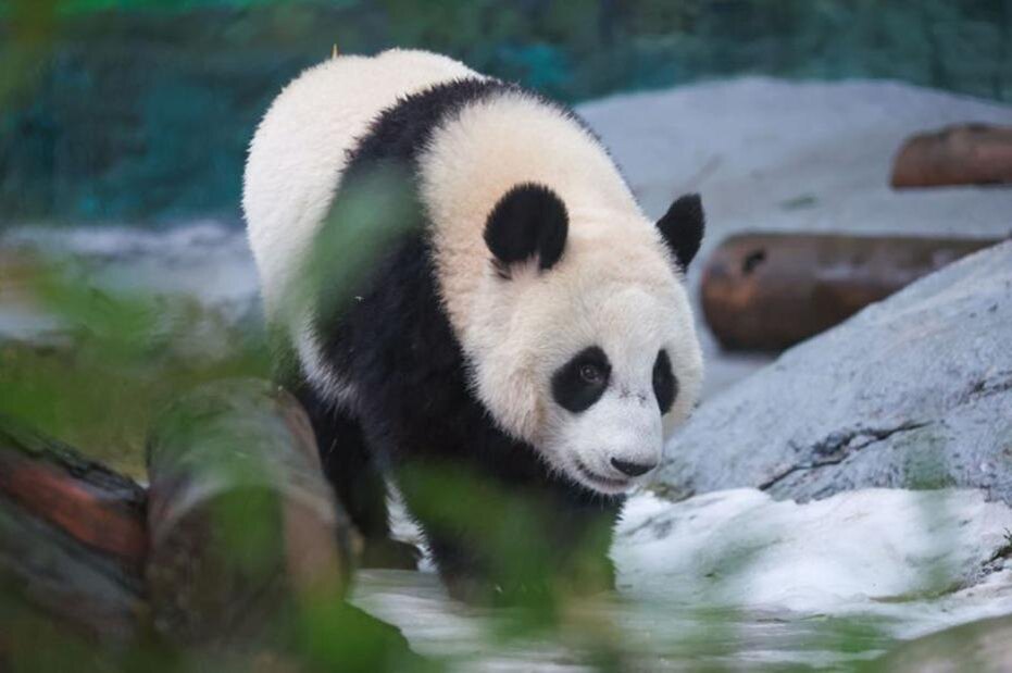    Алексей Белкин/NEWS.ru