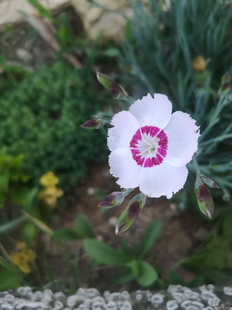 Это просто вместо картинки