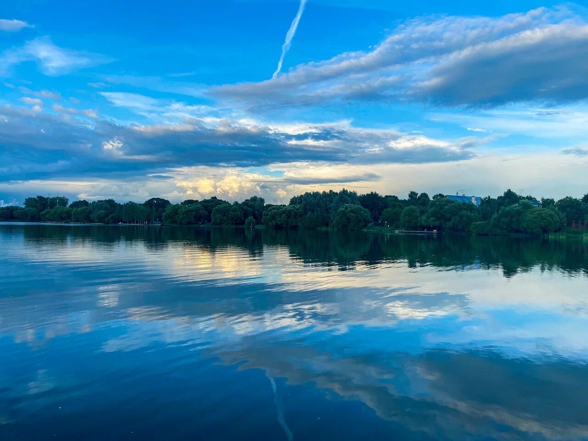 Летом в прудах Мещерского парка можно купаться. Фото: З.А. / Яндекс Карты