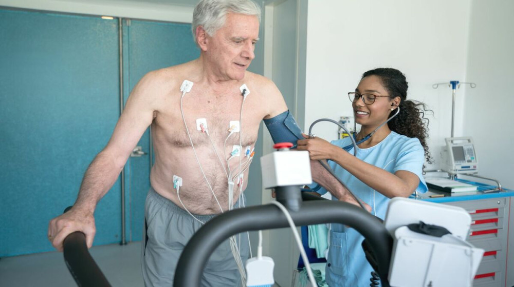    Катехоламиновая буря Как адреналин превращает сердце в бомбу замедленного действия