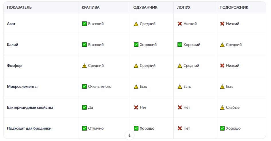 Чем крапива лучше других сорняков