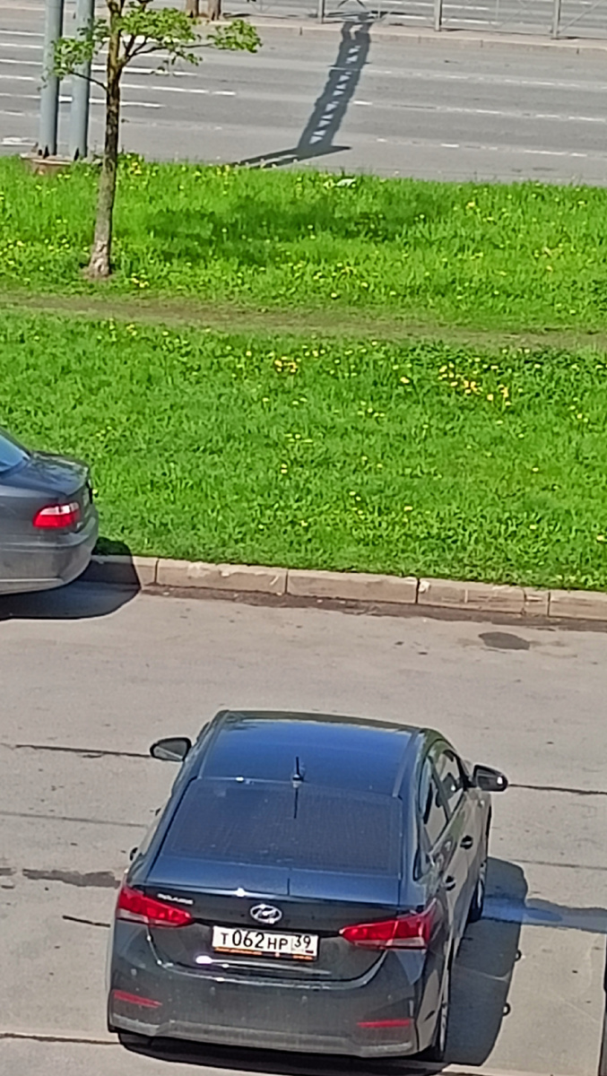 Фото автора. 12,45. СПб.