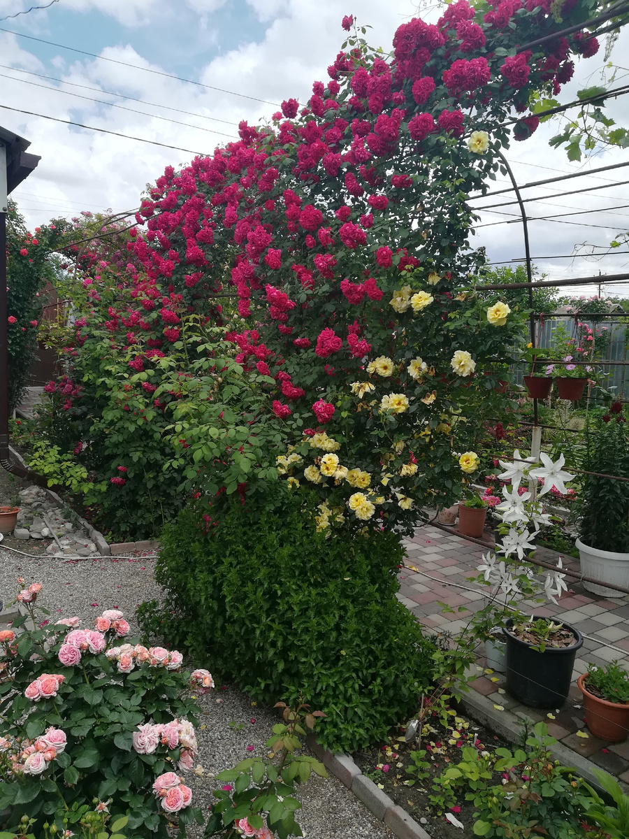 С другого ракурса.