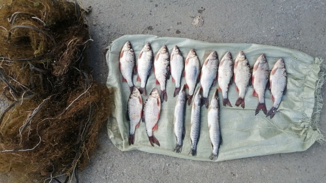    За рыбалку в период нереста будут судить жителя Октябрьского района