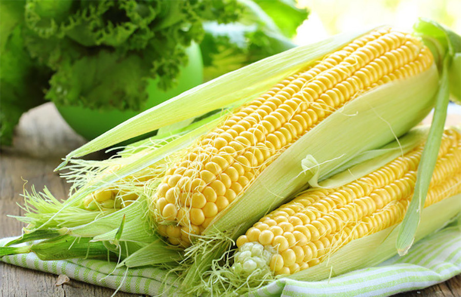     Капризный май - сюрприз для кукурузы