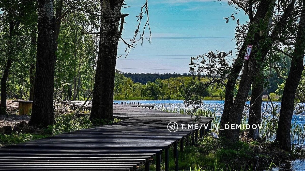     Источник: Telegram-канал мэрии Белгорода