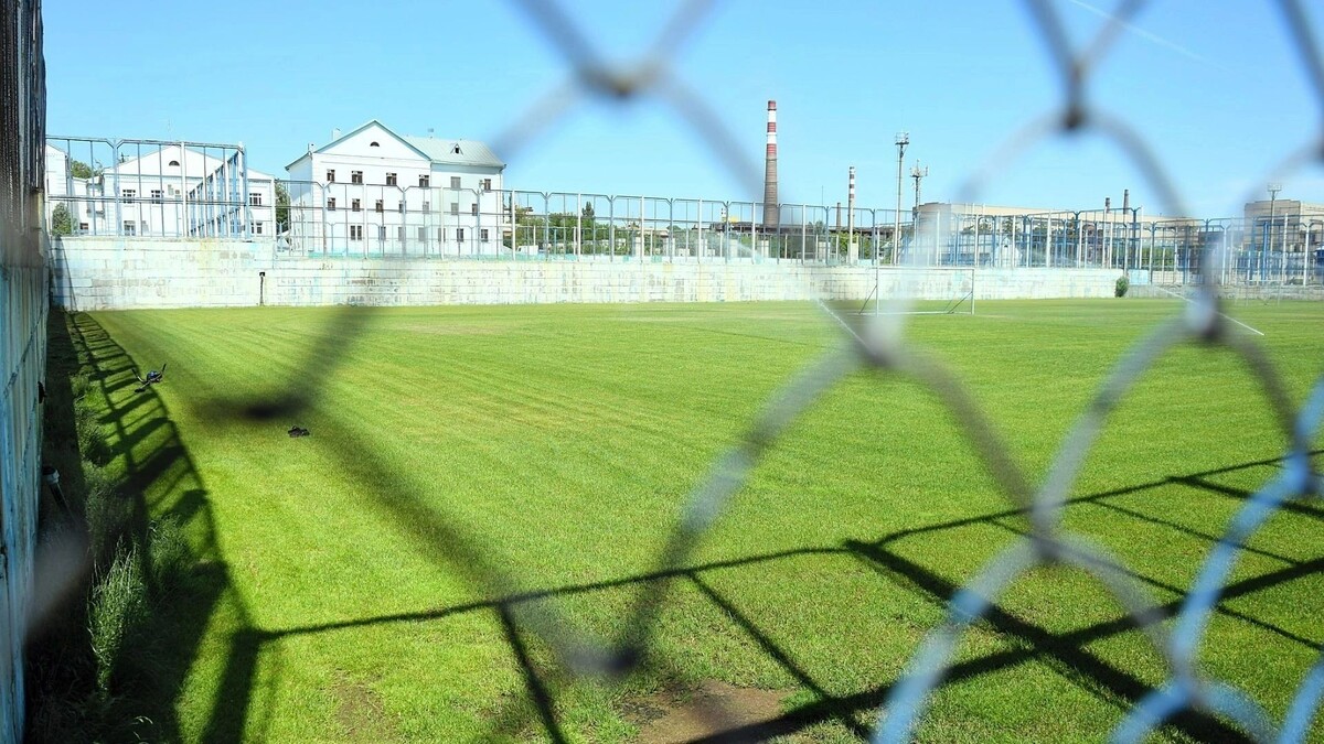     Источник: novostivolgograda.ru