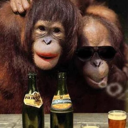 Яндекс картинки