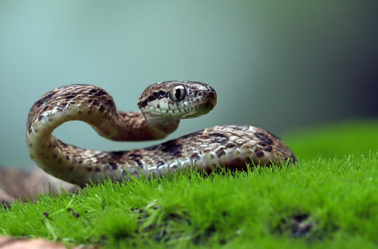    Фото: freepik.com Анфиса Слепцова