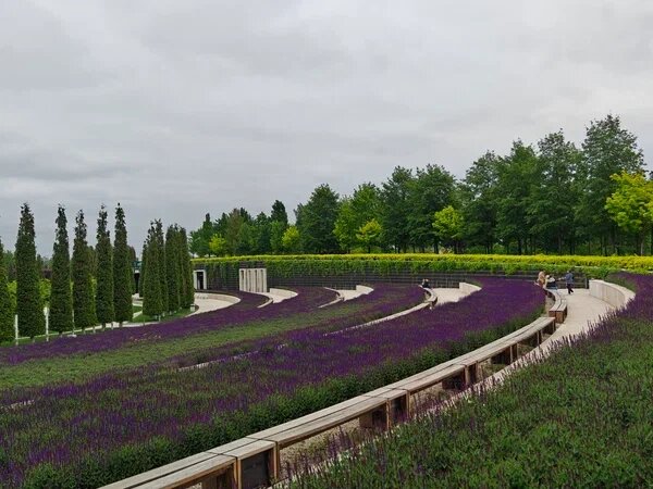    Фото: Юрий Серебренников/BFM Кубань