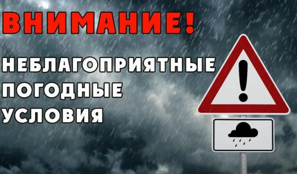    фото: avatars.mds.yandex Редактор