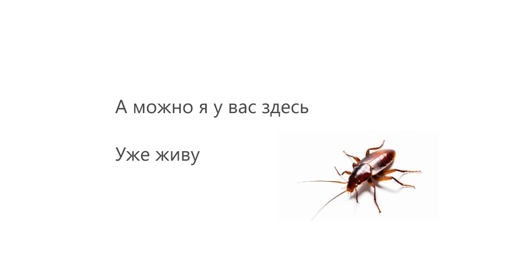 Нет не можно