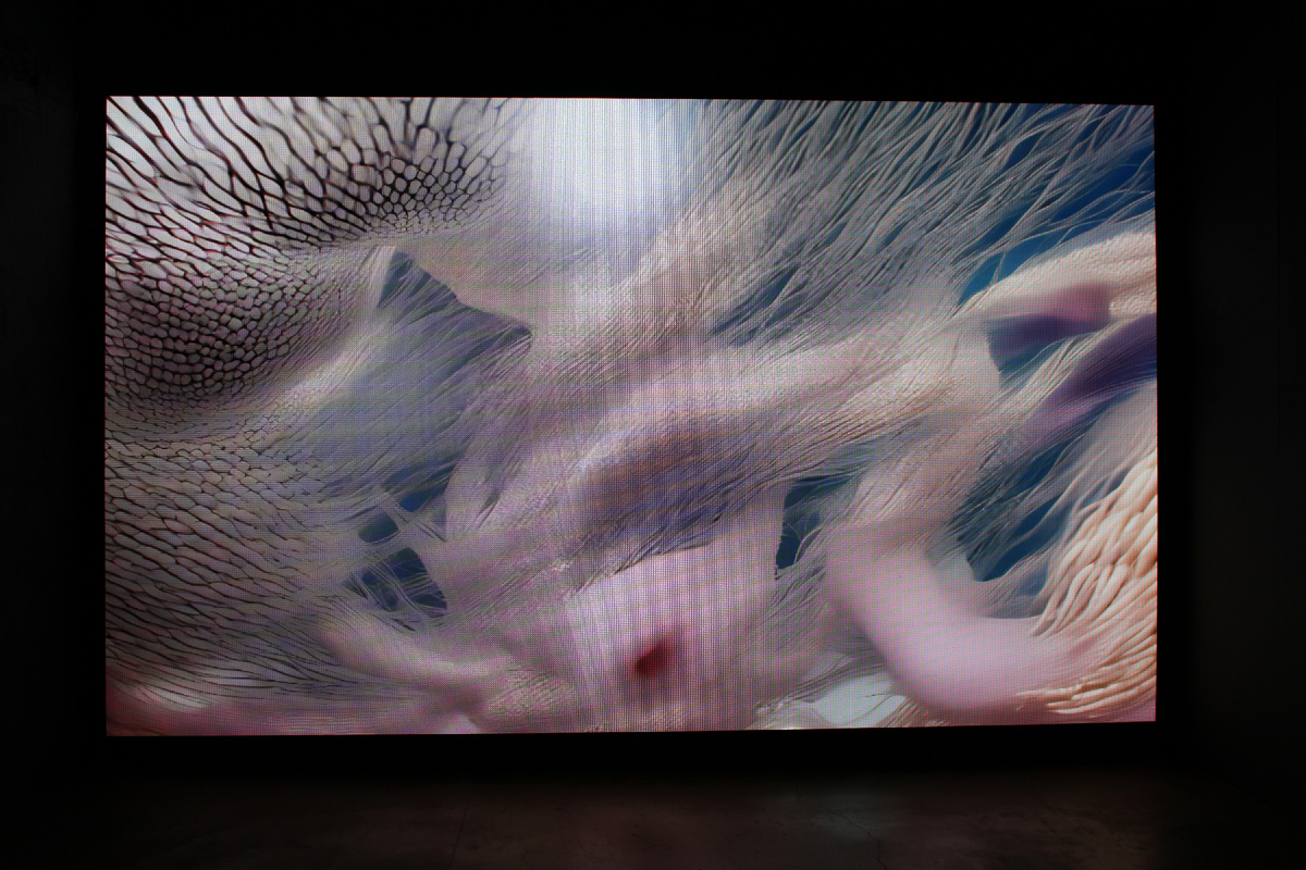 Выставка «Цифровые надежды» в Нижнем Новгороде. Фото автора