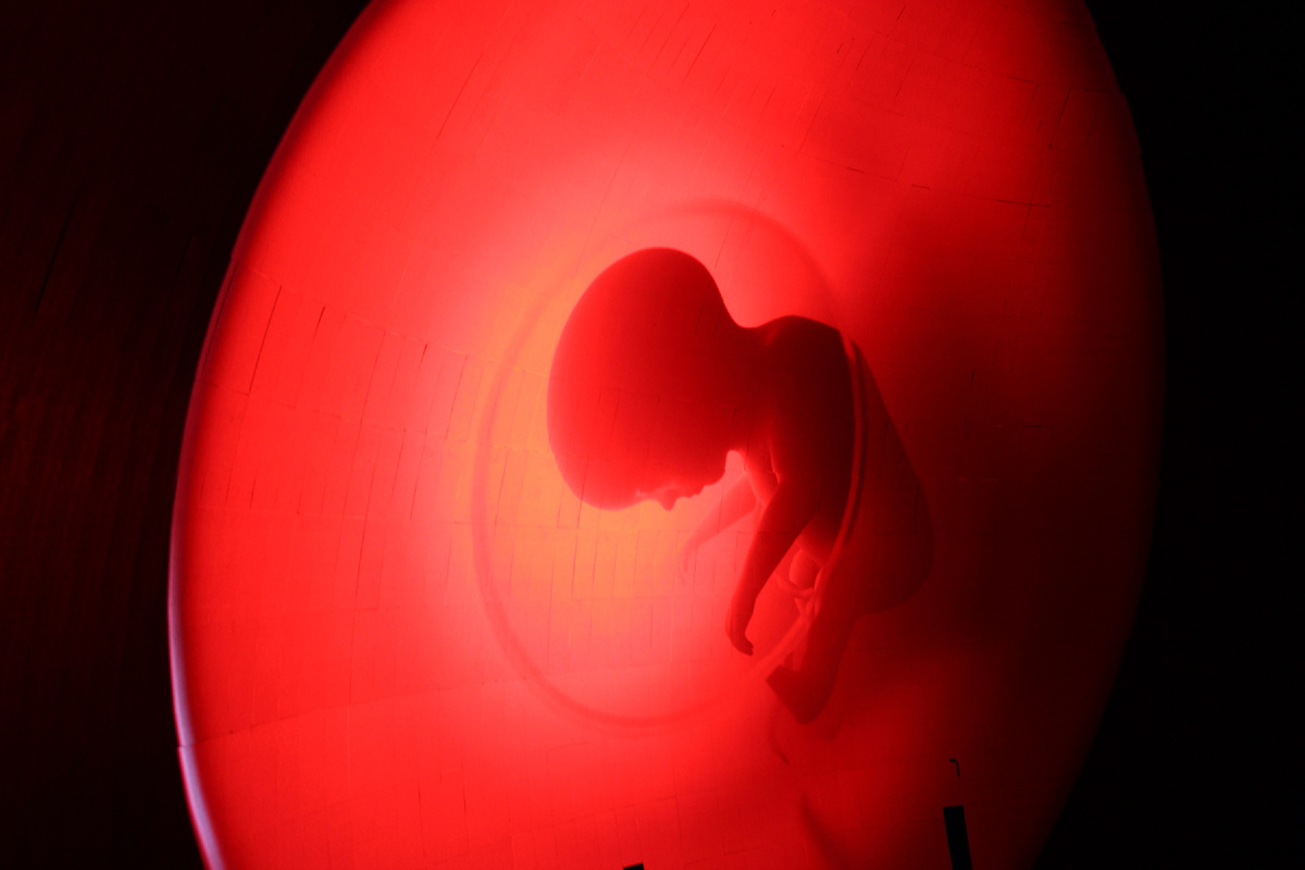 Выставка «Цифровые надежды» в Нижнем Новгороде. Фото автора