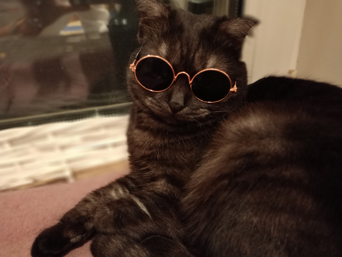 Вот так примерно и посмотрела. 